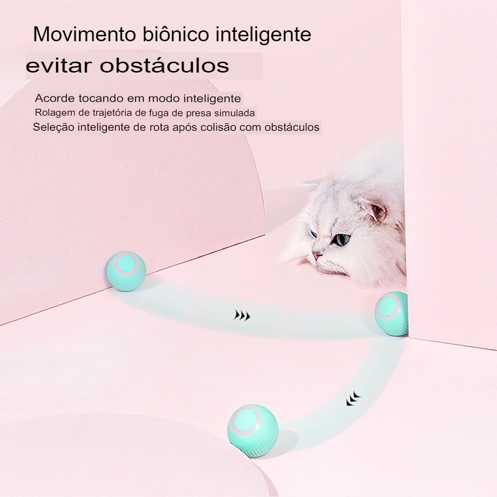 Adeus à bolinha: gatos já jogam no smartphone, mas isso é bom para eles? -  08/11/2020 - UOL TILT